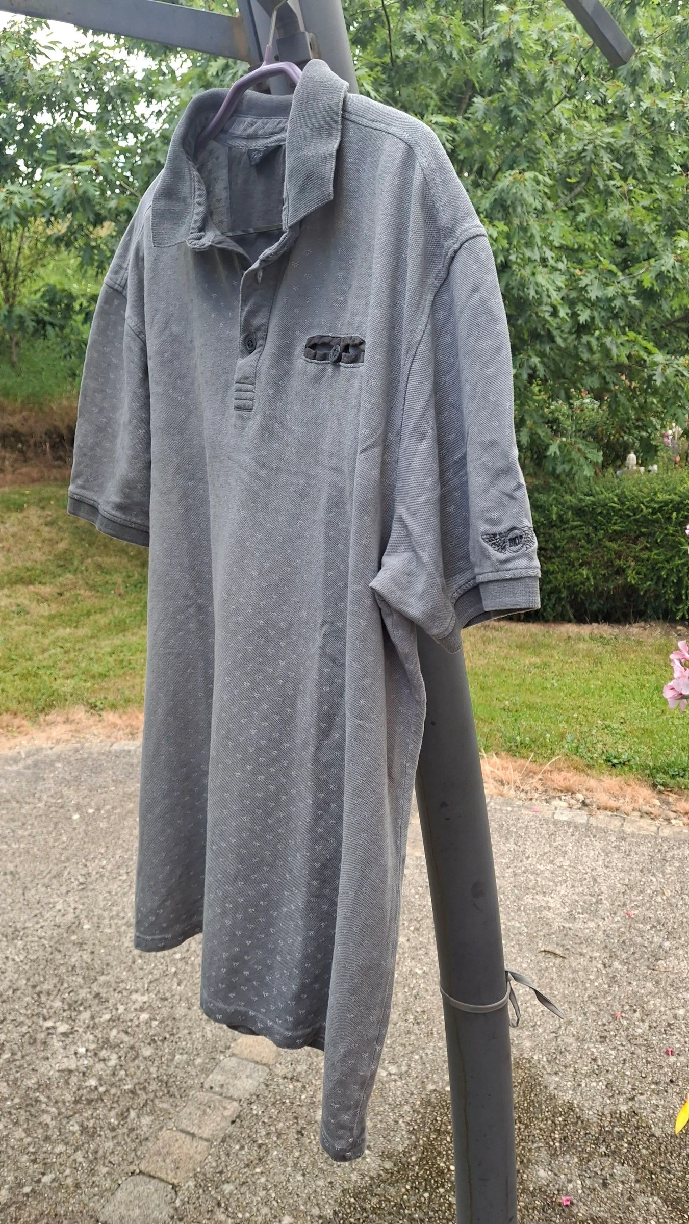 Polo – photo 9